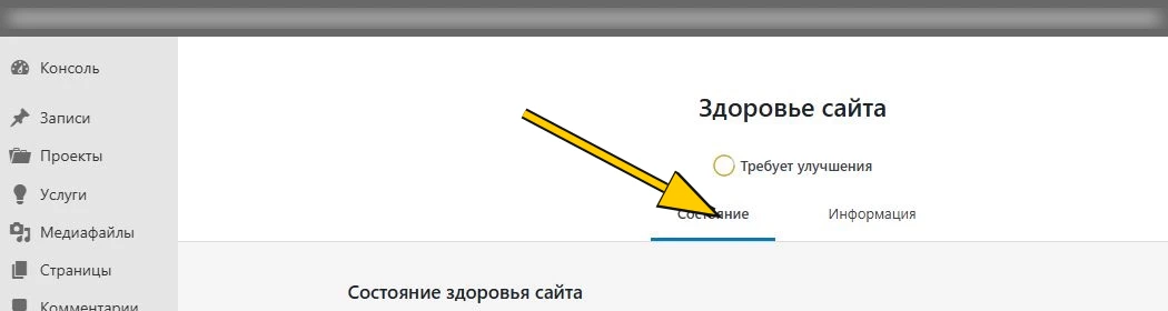 Реальное окно «Здоровье сайта»: выберите вкладку «Состояние». Детальные сведения о сервере намеренно не включены в иллюстрацию.